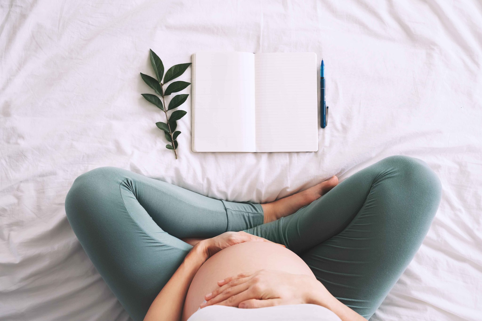 MS_Plan-naissance-1-2048x1365.jpg
